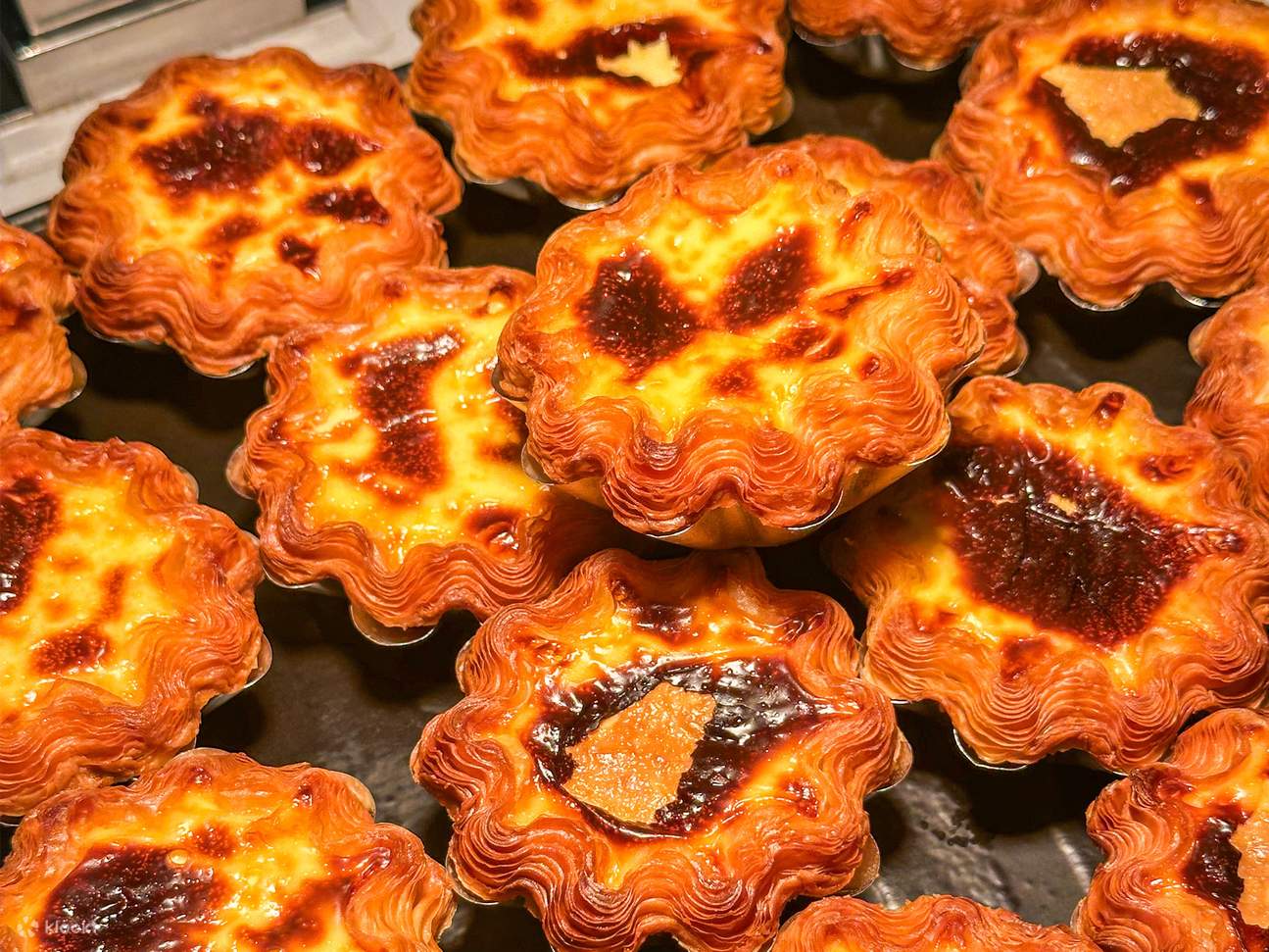 [Dekat Pelabuhan Shenzhen Bay] Paket Akomodasi DoubleTree by Hilton Hotel & Residences Shenzhen Nanshan | Hilton Group | Beberapa Produk Gratis Upgrade Suite di Akhir Pekan